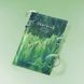 Маска SKIN1004 Madagascar Centella Tea-Trica Relaxing Mask 24 ml 8809913832058 фото 2